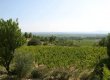 14-hectares-en-AOC-Minervois-avec-cave-et-habitation