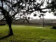 16-hectares-dont-11-ha-de-vignes-AOC-1eres-Cotes-de-Bordeaux