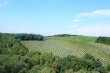 Propriete-de-98ha-en-AOP-Cotes-du-Rhone-et-Cotes-du-Rhone-Village