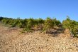 Propriete-de-98ha-en-AOP-Cotes-du-Rhone-et-Cotes-du-Rhone-Village