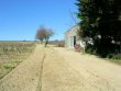 Tres-beau-domaine-viticole-dun-seul-tenant-harmonieux-et-agreable-comprenant-18-ha-de-vigne-7-ha-de-terres-et-1-ha-doliviers
