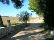 Tres-beau-domaine-viticole-dun-seul-tenant-harmonieux-et-agreable-comprenant-18-ha-de-vigne-7-ha-de-terres-et-1-ha-doliviers