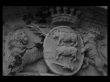 Vignoble-sur-Entre-Deux-Mers-Bordeaux-Superieur-