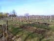 Charmante-propriete-viticole-en-AOC-Entre-Deux-Mers