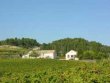 Cairanne, Domaine Viticole vendu par Lord and Sons