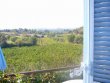 Propriete-viticole-de-21-ha-proche-dune-ville-touristique