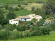 Propriete-viticole-de-21-ha-proche-dune-ville-touristique