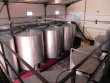 Domaine-viticole-et-agrotouristique-de-7-ha-dans-la-Camargue