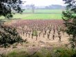 Nombreux-bacirctis-dont-un-chacircteau-sur-43-ha-agrave-proximiteacute-de-la-mer