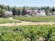Belle-proprieacuteteacute-viticole-de-48nbspha-drsquoun-seul-tenant-agrave-proximiteacute-du-littoral
