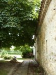 Domaine-noble-au-milieu-des-vignes-en-Gironde