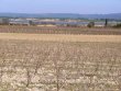 Proprieacuteteacute-viticole-de-9-ha-avec-maison-cave-et-caveau-proche-du-littoral