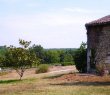 Ensemble-exceptionnel-bel-equilibre-entre-la-vigne-et-lagrement