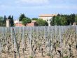 Propriete-viticole-de-76ha-avec-logement-cave-hangar-bureau-et-materiel