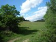 PROPRIeTe-DE-124-HECTARES