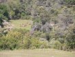 PROPRIeTe-DE-124-HECTARES