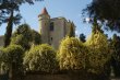 Vineyard-in-Languedoc-45ha