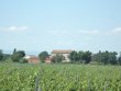 Bio-domaine-viticole-de-76-ha-en-IGP-irrigable