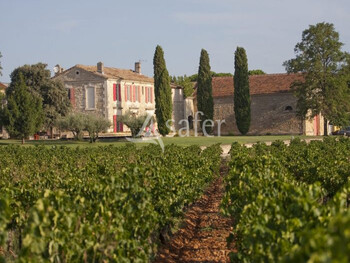 intervignes