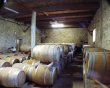 Beau-domaine-bio-de-27ha-en-AOP-et-IGP