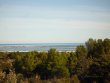 Domaine-viticole-possedant-une-remarquable-vue-panoramique-sur-mer