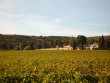 Domaine-viticole-possedant-une-remarquable-vue-panoramique-sur-mer