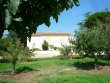 Small-wine-making-and-agricultural-estate-close-to-the-sea-and-the-city