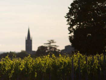 intervignes