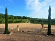 en-2020-PAR-QUATUOR-VIGNOBLES-DORDOGNE-Ideal-pour-les-amoureux-de-la-vigne-et-des-chevaux