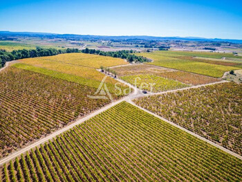 intervignes