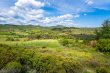EXCEPTIONAL-WINE-AND-ARBOREAL-PROPERTY-WITH-64-HECTARES