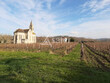 Domaine-viticole-6ha-AOC-Cahors