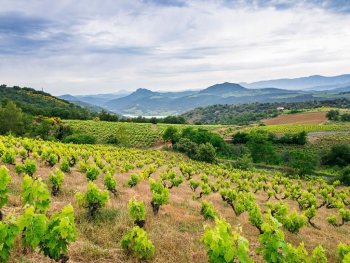 intervignes