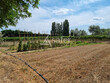 Propriete-viticole-de-7ha-proche-de-Beziers