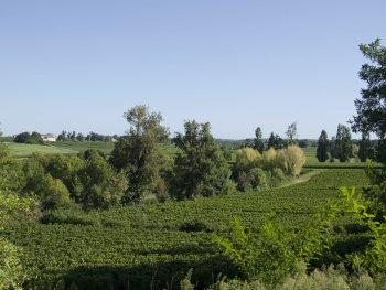 intervignes
