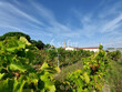 Propriete-AOC-MEDOC