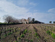 Domaine-viticole-de-30-ha-proche-du-littoral-de-lHerault