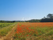 Mas-Languedocien-isole-dans-sa-vallee-privee-de-plus-de-60-ha