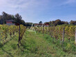 Propriete-AOC-GRAVES-Label-BeeFriendly