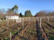Petite-propriete-viticole-denviron-7-ha-avec-batiments-dexploitation