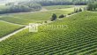 A-vendre-belle-propriete-de-18-ha-avec-une-position-dominante-top-terroir