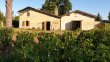 A-vendre-environ-25-ha-de-vignes-en-AOC-Saint-Emilion