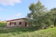 Small-house-with-its-own-vines-around