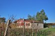 Small-house-with-its-own-vines-around