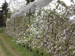 Exploitation-arboricole-sur-20ha