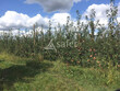 Exploitation-arboricole-sur-20ha