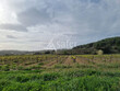 Vignoble-irrigue-de-10-ha-proche-de-Beziers