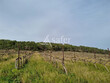 Vignoble-irrigue-de-10-ha-proche-de-Beziers