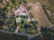 Domaine-viticole-familiale-avec-une-belle-superficie-viticole-une-demeure-de-charme-gite-et-batiments-dexploitation