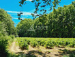 Chateau-historique-et-domaine-viticole-entre-Cotes-du-Rhone-et-Vallee-de-la-Ceze